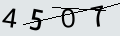 verifycode